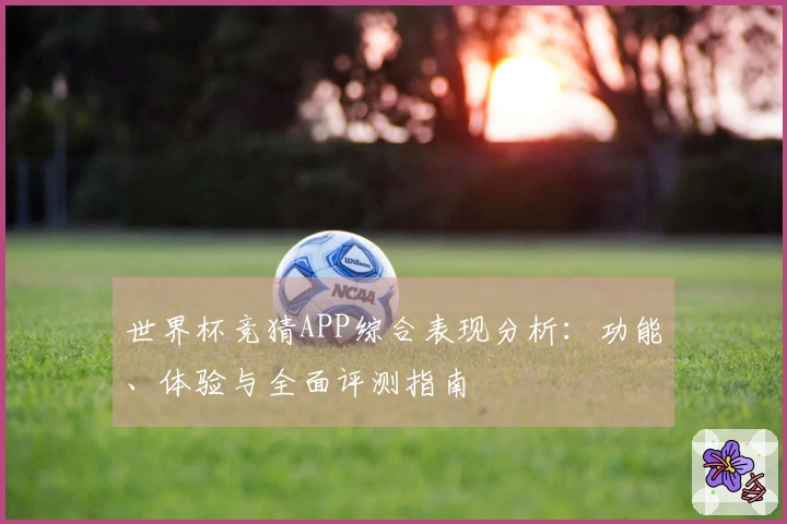 世界杯竞猜APP综合表现分析：功能、体验与全面评测指南
