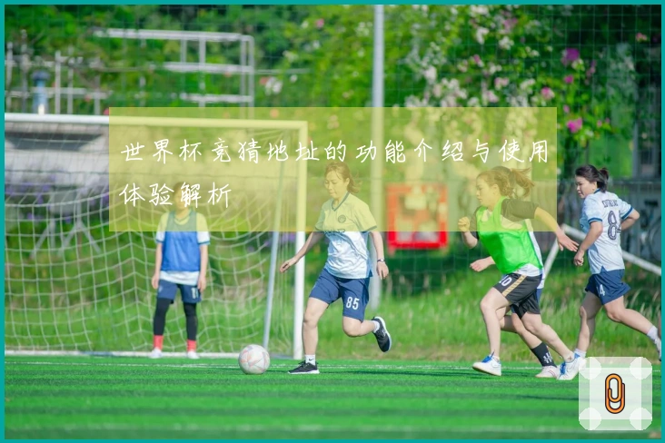 世界杯竞猜地址的功能介绍与使用体验解析