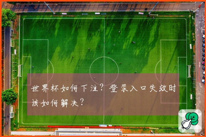 世界杯如何下注？登录入口失效时该如何解决？