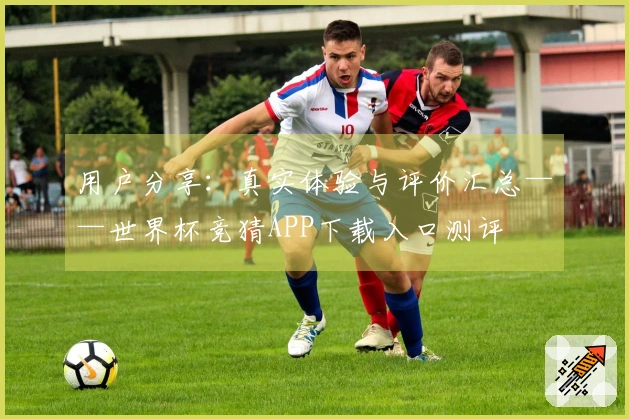 用户分享：真实体验与评价汇总——世界杯竞猜APP下载入口测评