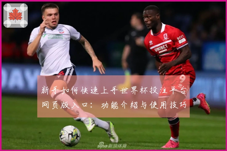 新手如何快速上手世界杯投注平台网页版入口：功能介绍与使用技巧分享