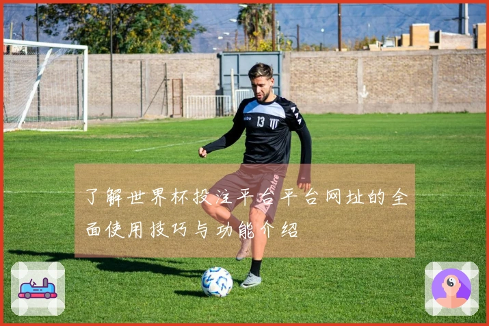 了解世界杯投注平台平台网址的全面使用技巧与功能介绍