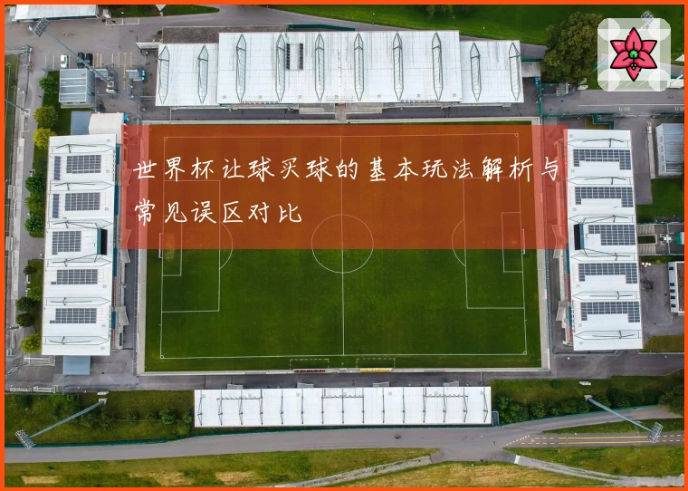 世界杯让球买球的基本玩法解析与常见误区对比