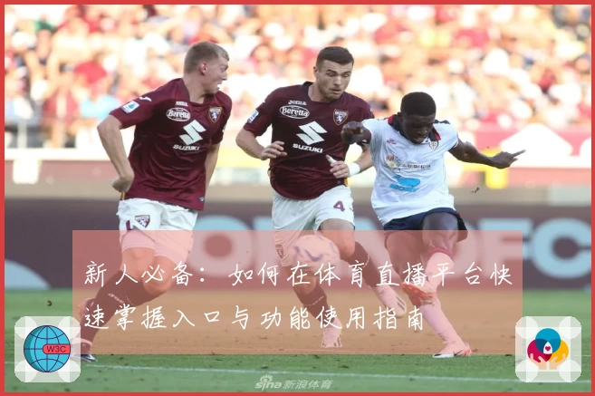 新人必备：如何在体育直播平台快速掌握入口与功能使用指南