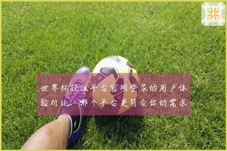 世界杯投注平台官网登录的用户体验对比：哪个平台更符合你的需求？