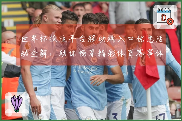 世界杯投注平台移动端入口优惠活动全解,助你畅享精彩体育赛事体验