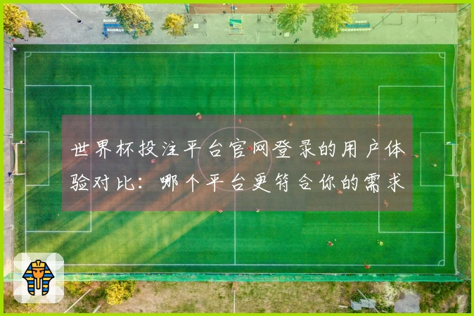 世界杯投注平台官网登录的用户体验对比：哪个平台更符合你的需求？