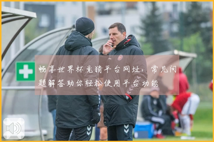 畅享世界杯竞猜平台网址，常见问题解答助你轻松使用平台功能