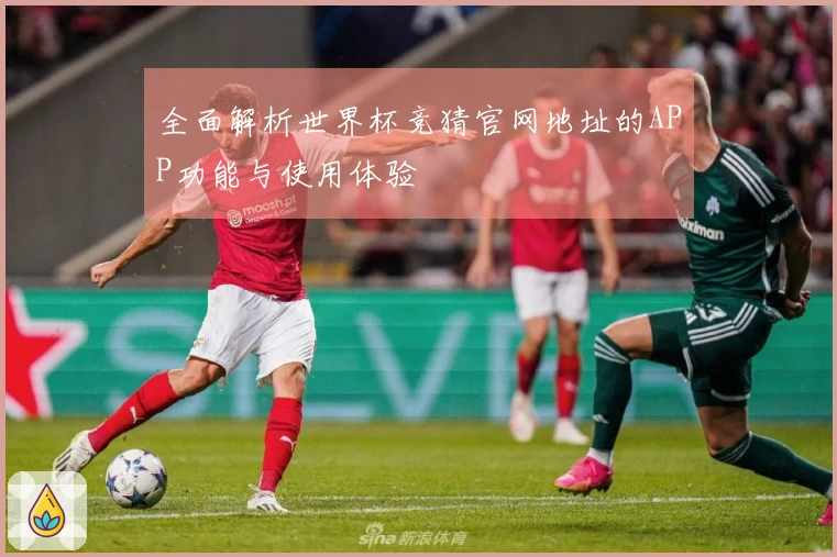 全面解析世界杯竞猜官网地址的APP功能与使用体验