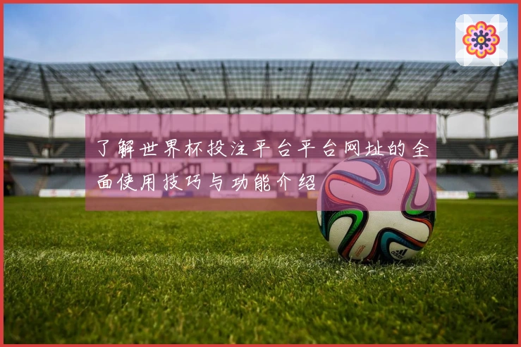 了解世界杯投注平台平台网址的全面使用技巧与功能介绍